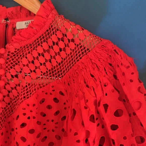 All Saints Tila eyelet top - Picture 4 of 11